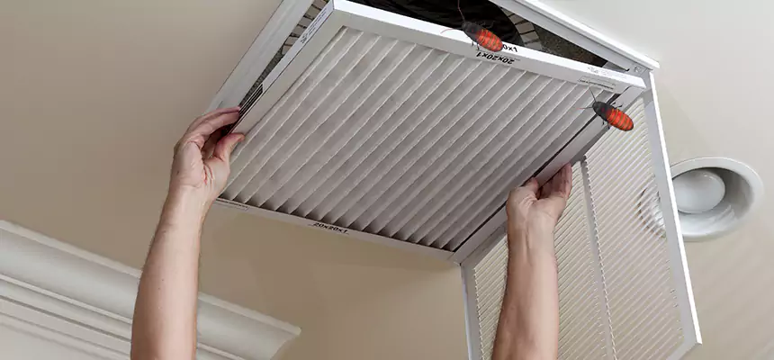 Preventive Cockroach-Proofing for Ducts in Huntington