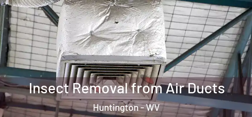  Insect Removal from Air Ducts Huntington - WV