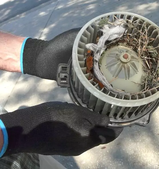 About Air Duct Rat Removal in Huntington, WV