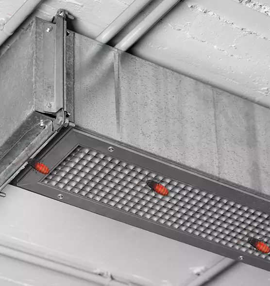 Affordable Insect Removal from Air Ducts in Huntington, WV